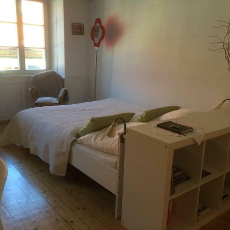 Zum Gruenen Lindenbaum Z5B Daire Konstanz Dış mekan fotoğraf